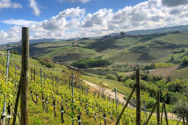 Vigna Barolo Persiera