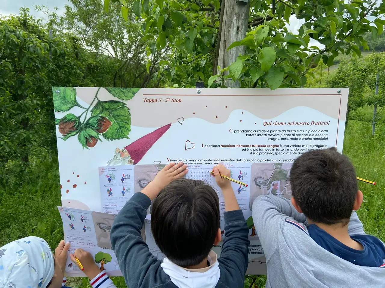 IL PERCORSO DEGLI GNOMI